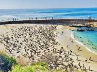 Santa Monica Pier