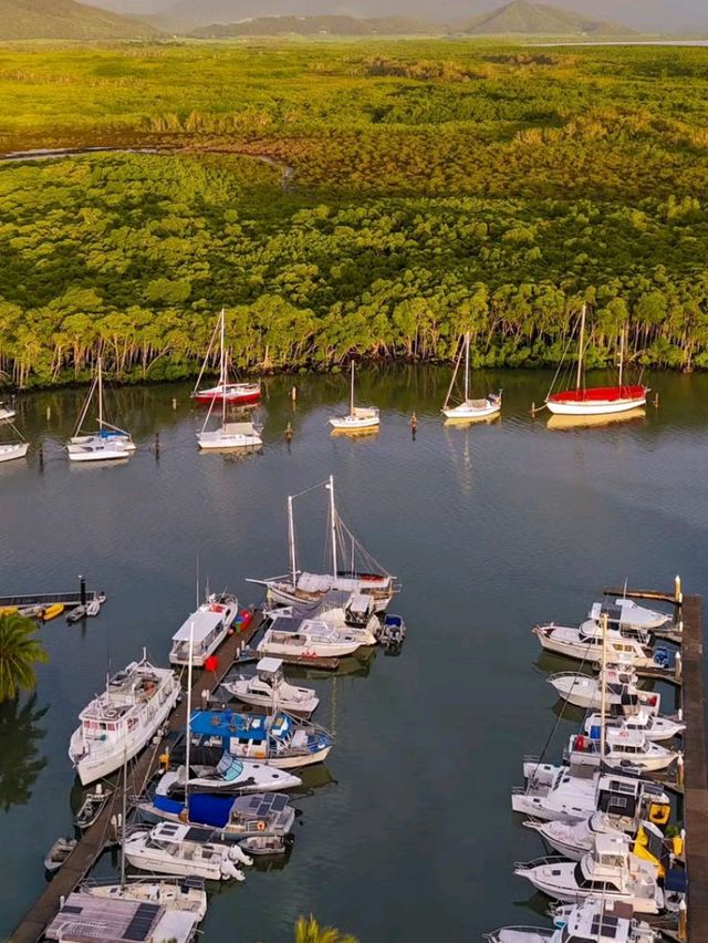 Discover the Magic of Port Douglas 🌴✨ 🦘