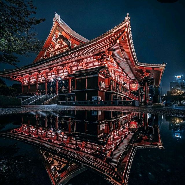 Explore Tokyo's Night View 🗼🌃