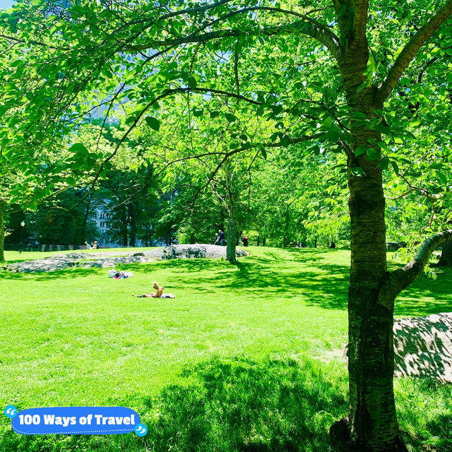 Top 3 Green Areas for a Picnic in Central Park