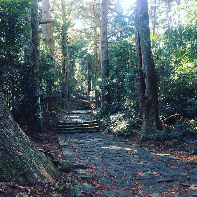 Experience Spiritual Camping at Koyasan