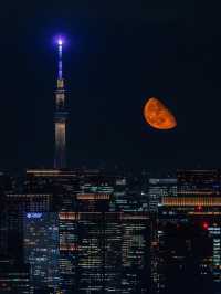 ## 東京夜幕奇遇：黃昏到夜晚的Shibuya Sky之旅