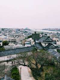  【和歌山×和歌山城 天守閣】花見と絶景が楽しめる名城