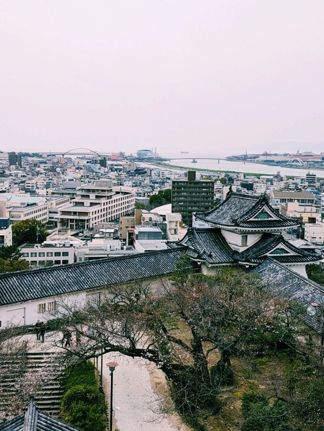  【和歌山×和歌山城 天守閣】花見と絶景が楽しめる名城