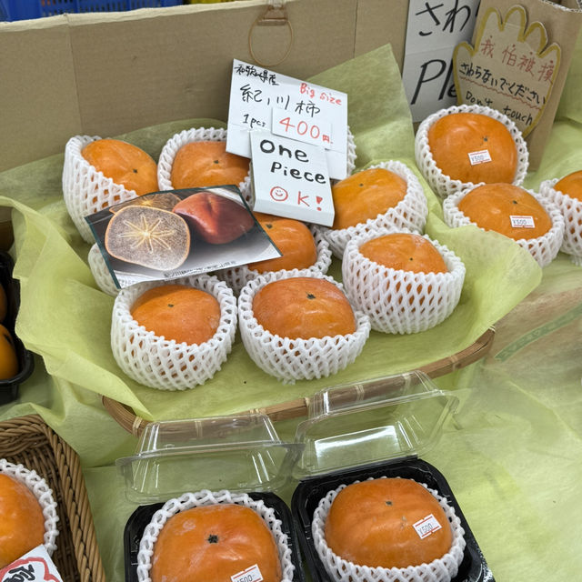 Witness Blue Fin Tuna Cutting at Wakayama’s Kuroshio Market