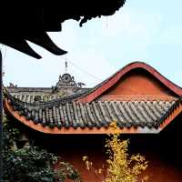 Baolun Temple at Ciqikou Ancient Town is a must-visit. 