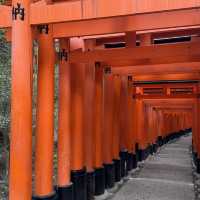 Day to Night at Fushimi Inari