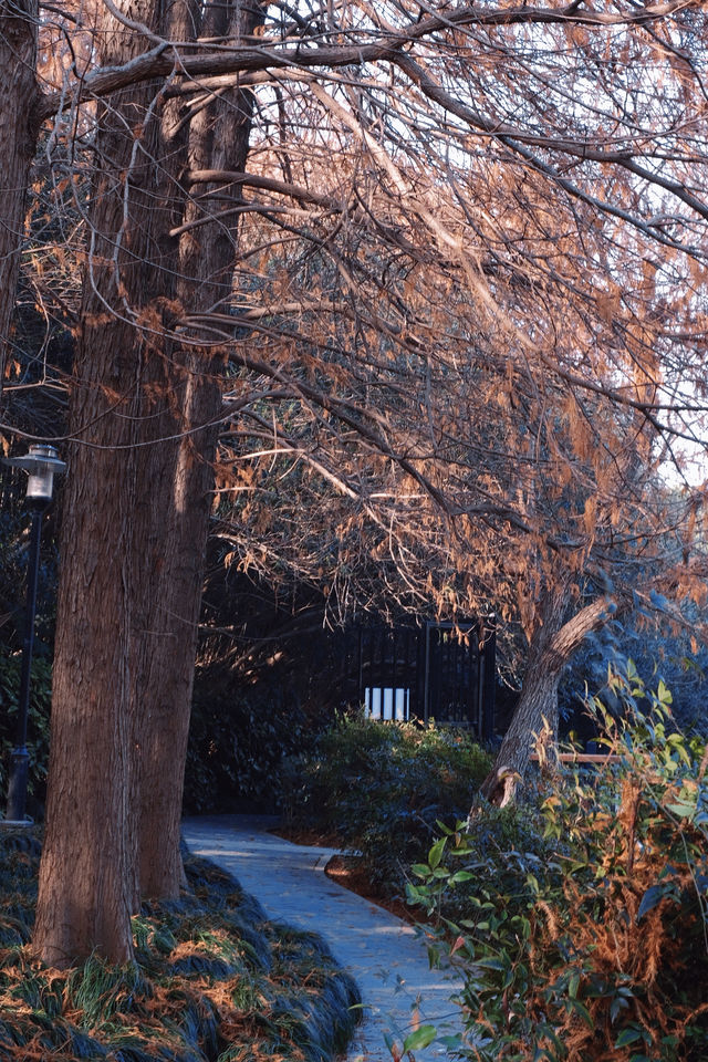 不是國外是黃興公園