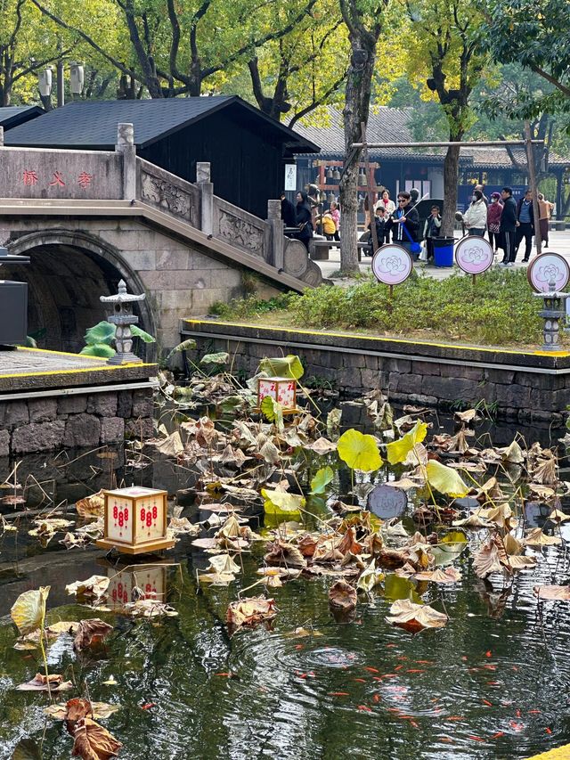 上海後花園太多了，諸暨是一個