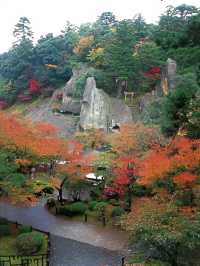 小松那谷寺步行賞楓又到一年好時節。