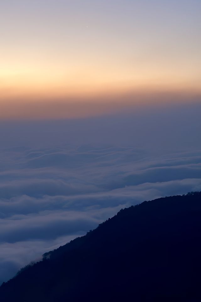 哀牢山神秘原始森林。