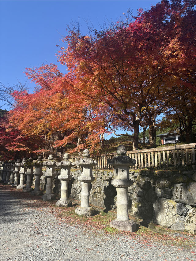 高野山——避開人流，和歌山縣的賞楓好地。