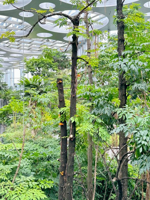 來一波姊妹們喜歡的上海溫室花園