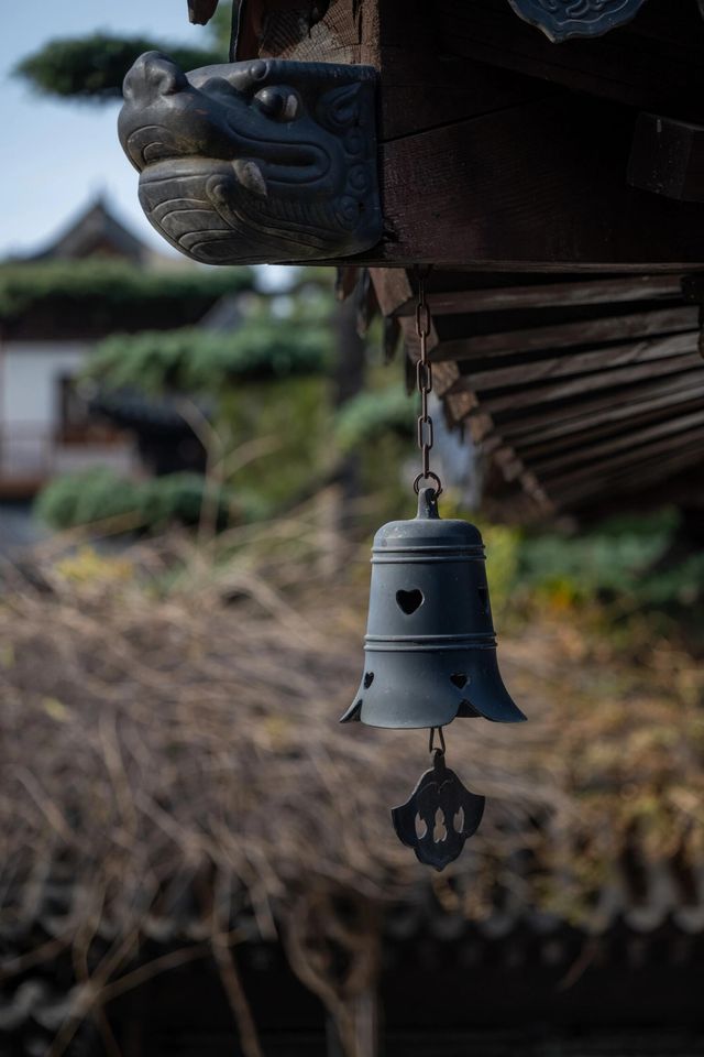 古觀音禪寺|人潮落幕後的寧靜古樸