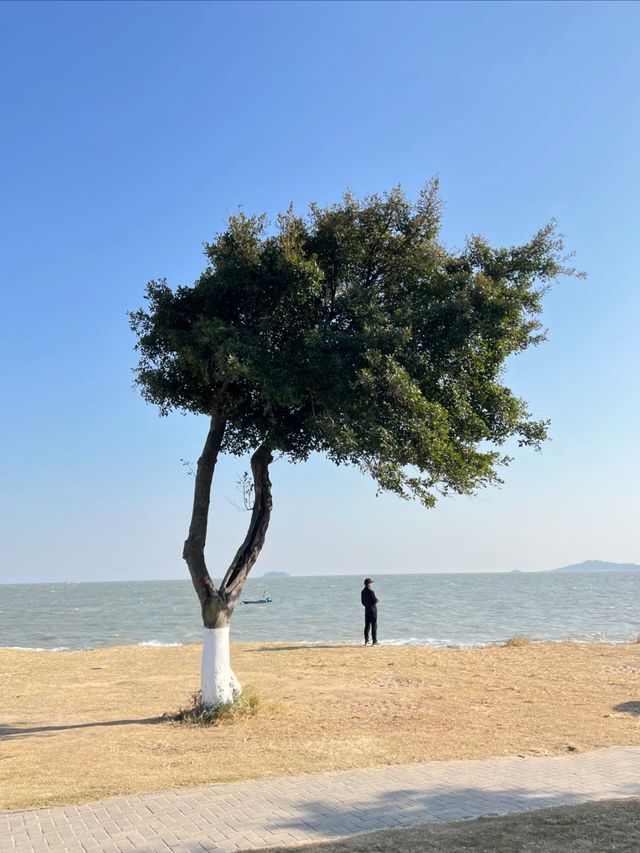 12月18日廈門環島路！冬日晴天的海邊！太讚