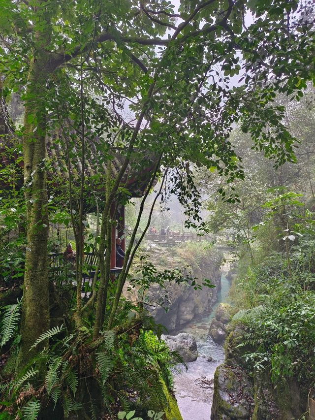 峨眉山2日遊 溫泉之旅放鬆身心