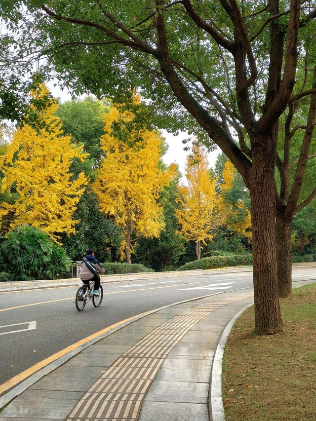 重慶觀音塘濕地公園