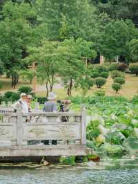 城市綠洲 | 長沙西湖公園初秋漫遊指南