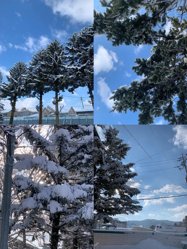 平昌郡：四季皆景的韓韻勝地