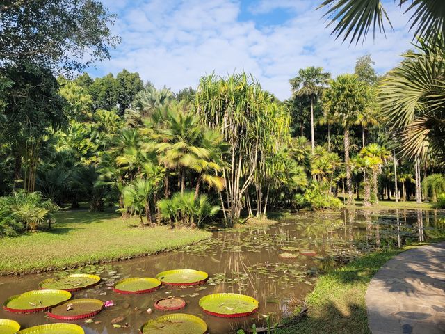 中科院熱帶植物園