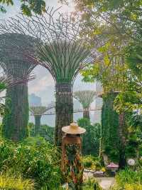 Gardens by the Bay in Singapore is Stunning✨❤️