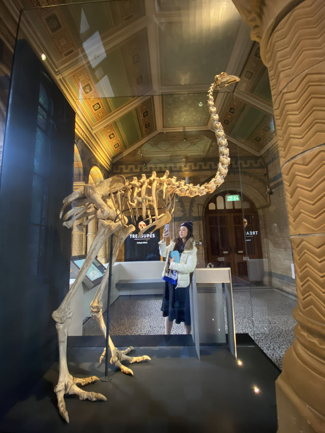 Step Back in Time:Natural History Museum