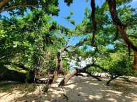 Exploring the Wonders of Puerto Princesa Subterranean River National Park