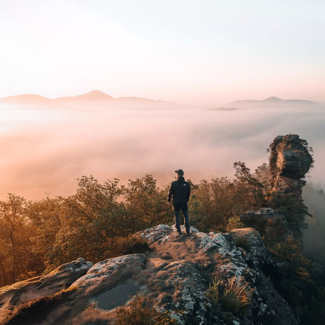 Exploring Pfälzer Wald: A Hidden Gem in the Palatinate Forest 