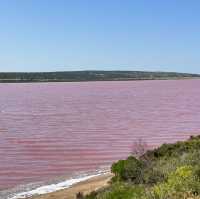 Pink lake in Perth