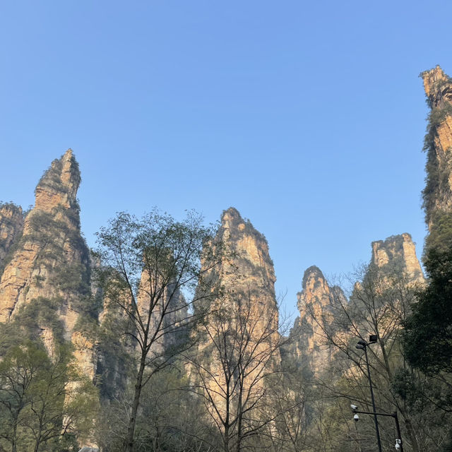 3-Day Adventure at Zhangjiajie's Tianmen Mountain and National Forest Park