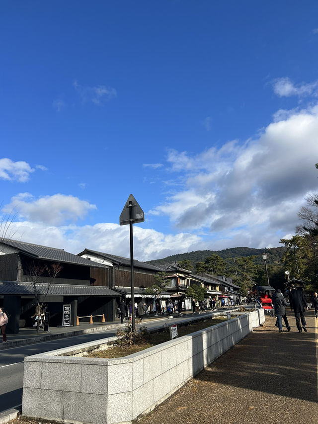 【奈良】風情ある道を散歩♡まだ紅葉みれた！