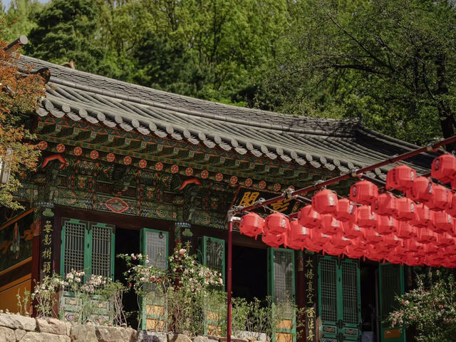 《奉恩寺——一處靜謐的心靈淨土》