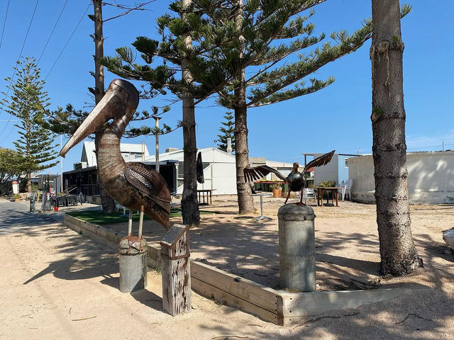 Venus Bay Caravan Park: A Beachfront Paradise on the Eyre Peninsula