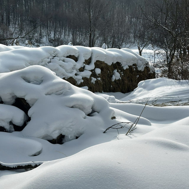 เปิดประสบการณ์ขี่ม้าท่ามกลางดินแดนหิมะ Snow Valley