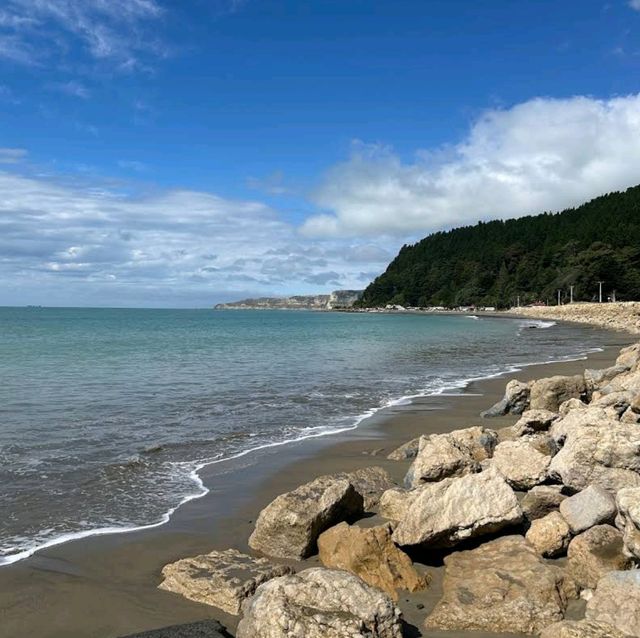 Take a Scenic Drive to Cape Kidnappers