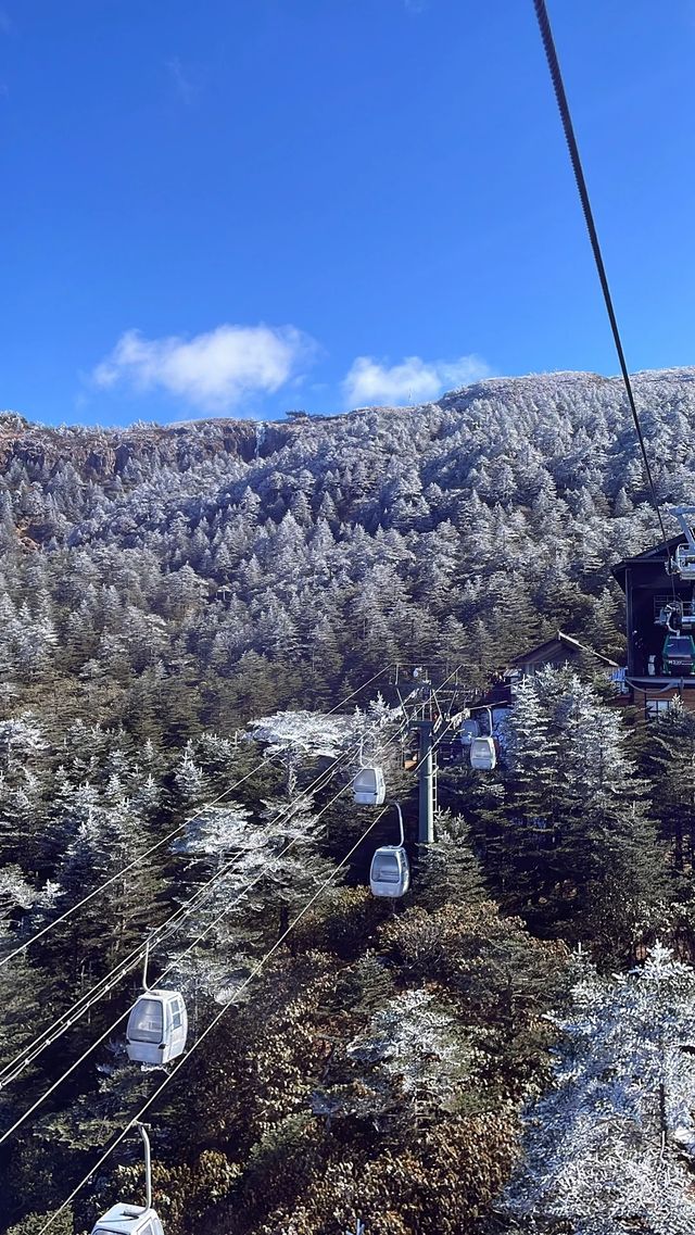 轎子雪山丨昆明人的冰雪小世界