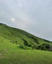 福州大姆山草場：綠野仙蹤的浪漫邂逅