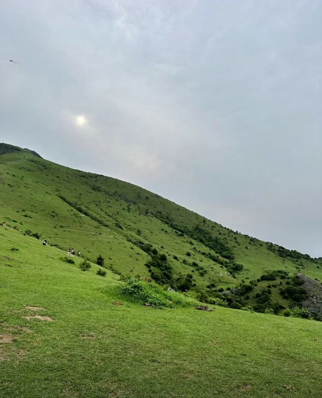 福州大姆山草場：綠野仙蹤的浪漫邂逅