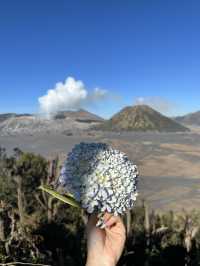 印尼布羅莫/伊真火山｜這一刻世界在我腳下