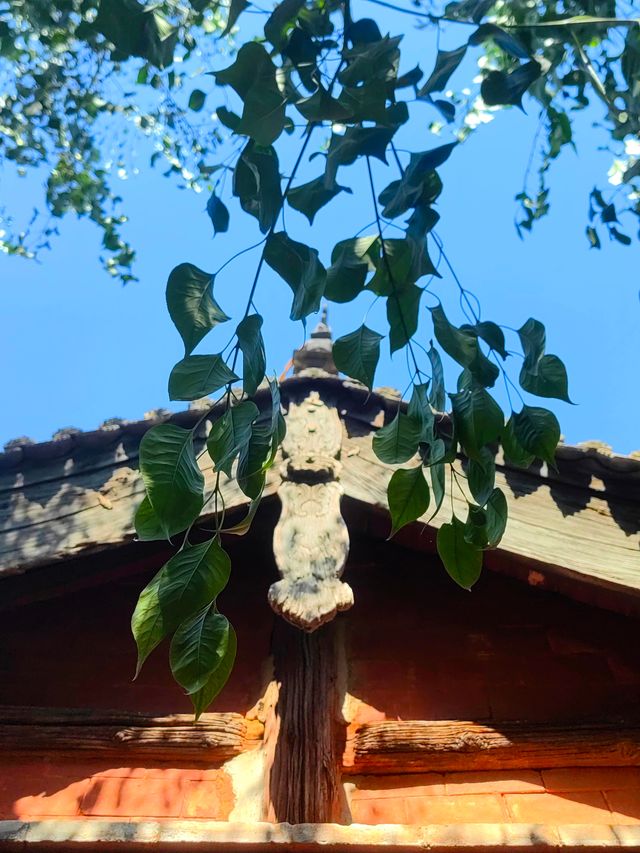 慈雲禪寺