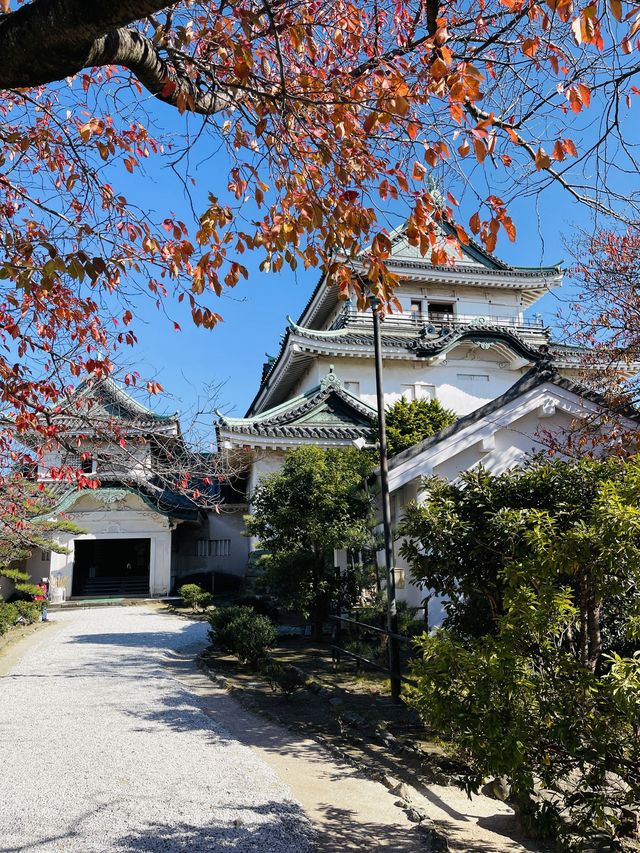 日本·和歌山城。