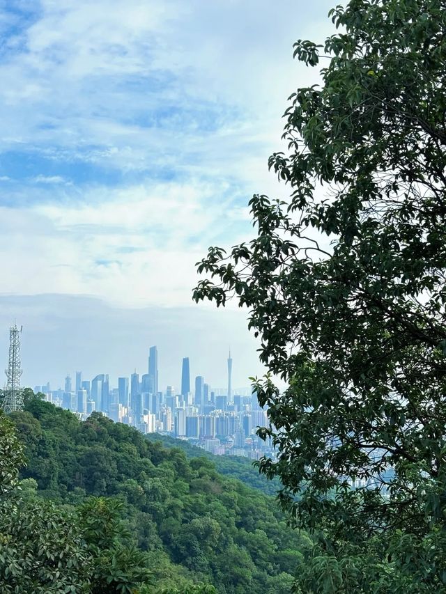 保姆級教程 | 白雲山山頂洞機位怎麼去？懶人看過來