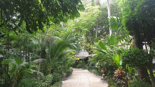 查汶海灘花園度假村|度假勝地中的世外桃源