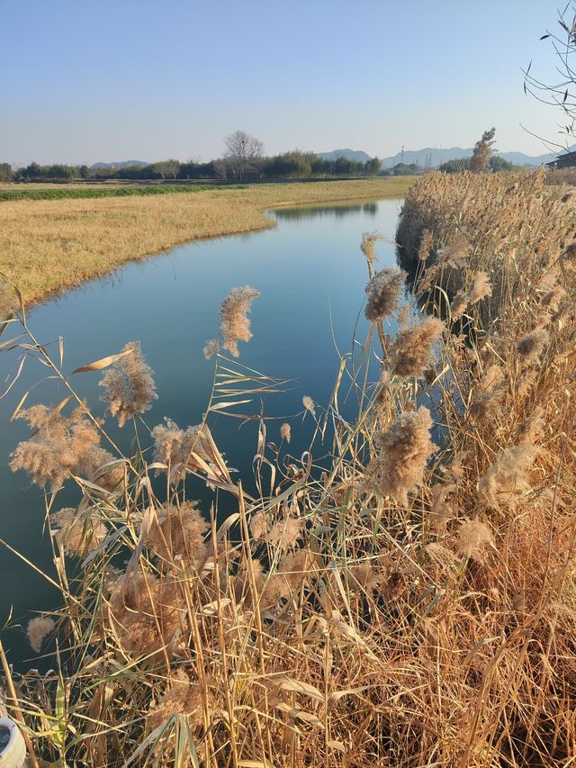 浙江杭州  良渚遺址公園