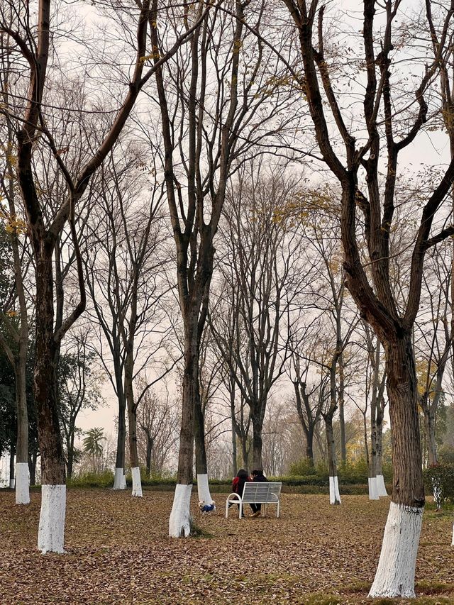 重慶金州公園