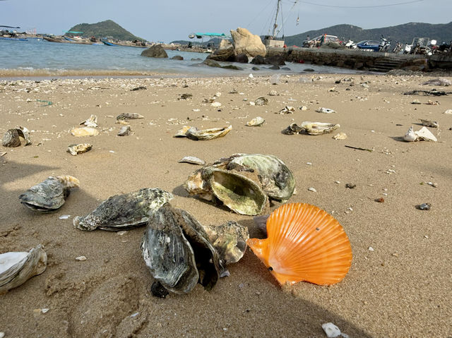 和美海島