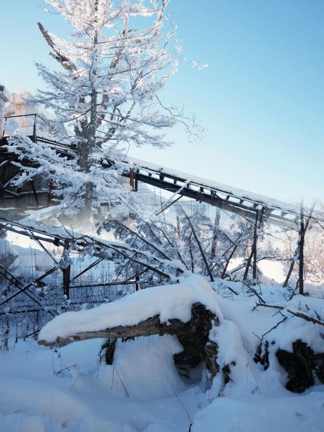 雪鄉十里畫廊 | 現實版冰雪奇緣，南方小土豆必衝！