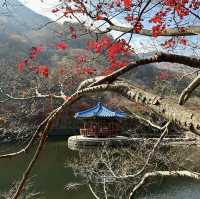 The most beautiful autumn place in korea . 