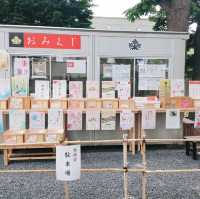 札幌諏訪神社　花手水と御朱印がかわいい