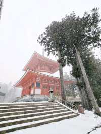 Danjo Garan Temple / A Snowy Day.